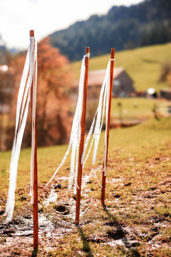 Holzstab, mit Band zur Wegmarkierung – Bild 6
