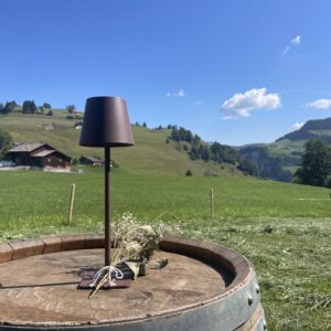 LED Lampe in braun