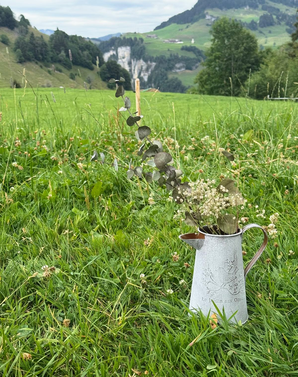 graue Vase mit Vogelbild und Satz " Le Jardin aux Oiseaux" – Bild 4