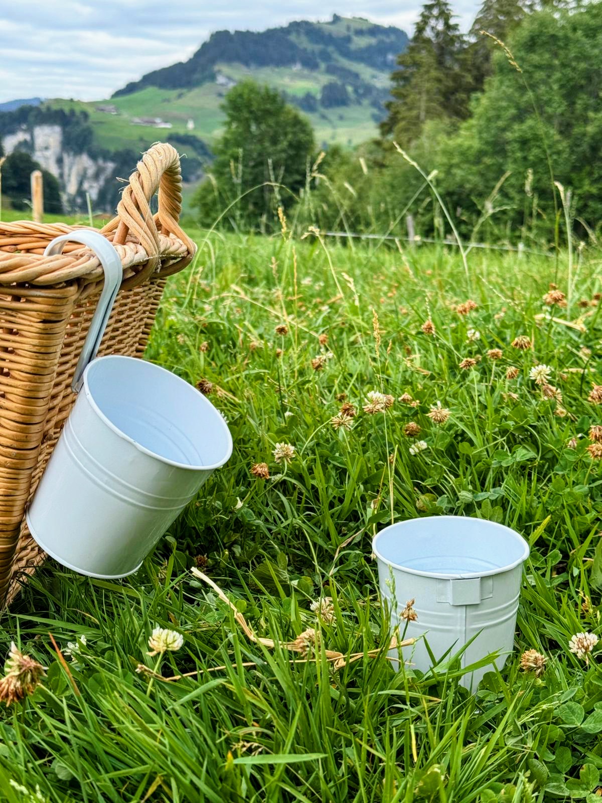 Blumentopf zum aufhängen mit abnehmbarem Griff – Bild 2